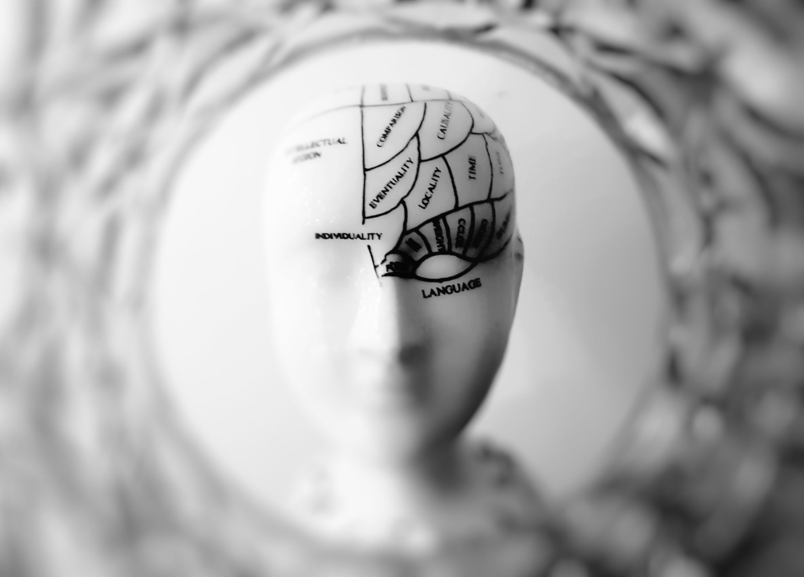 blurred head with brain sections
